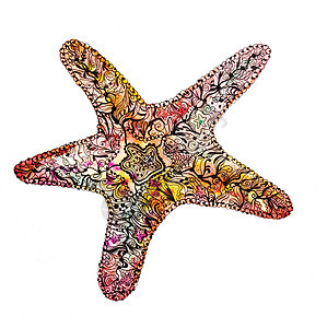 创意水彩海星贝壳涂鸦草图海洋动物绘画艺术墨水插图风格图片
