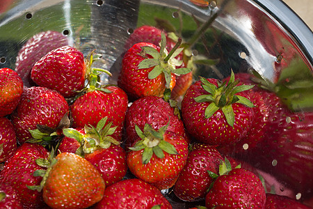 新鲜的成熟草莓浆果水果红色活力饮食叶子果味食物花园甜点图片