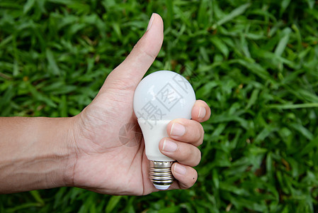 LED Bulb  节省照明技术发明灯泡玻璃站立力量绿色活力创造力选择概念背景图片