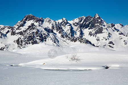冬季阿尔卑斯山娱乐雪堆滑雪森林建筑木头季节高山假期小屋图片