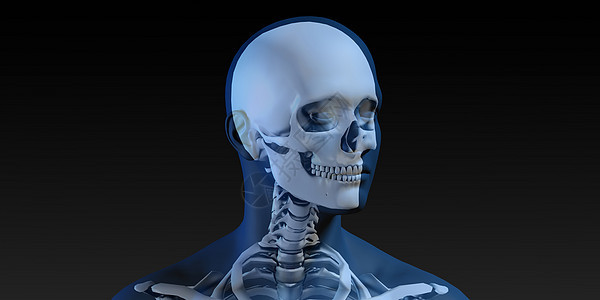 带有骨骼的射线扫描药品蓝色生物骨头成人病人诊断外科教育考试图片