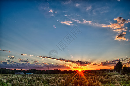 日落在南卡罗利纳的约克农地上爬坡土地场地太阳蓝色晴天戏剧性橙子草地草原图片