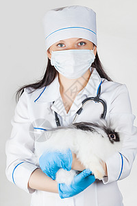 医生肖像医疗诊所工作动物护士女性女士兽医宠物药品图片
