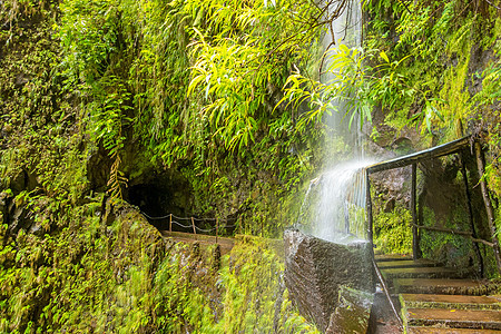 热带瀑布 马迪拉森林植被环境溪流踪迹山涧冒险观光假期旅游图片