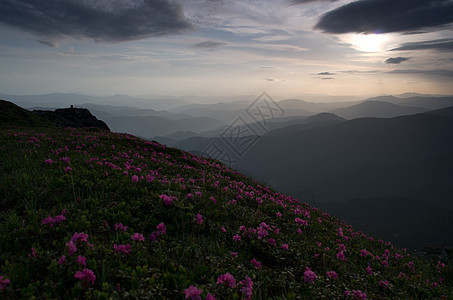 山高地貌喀尔巴阡山 乌克兰风景阳光天空地球土地草地森林旅行叶子天堂图片