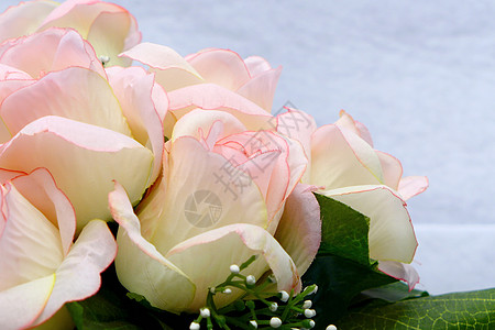 粉玫瑰白布背景上的粉粉人工花花束花瓶丝绸粉色礼物玫瑰树叶纹理白色植物背景