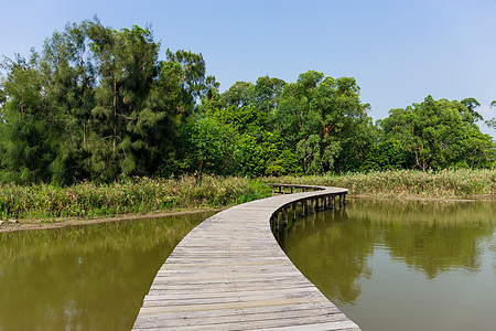 木环步行路环境木头场景风景蓝色木板人行道金子旅行森林图片