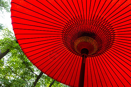 红东方纸伞旅游装饰品旅行螺旋文化褪色禅意太阳遮阳棚植物图片