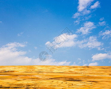 蓝色天空下的木桌顶图片