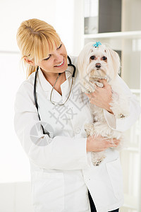 在兽医院白色办公室药品宠物医生女士兽医动物护士拥抱图片