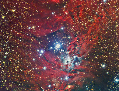 NGC 2264圣诞树群和星云图片