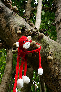 编织猴子 符号2016年 猴子年水果猴年印象农历爱好人群羊毛团体新年针织图片