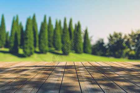秋林中美丽的阳光照耀着木板的地板地面桌子森林绿色多叶背光树叶晴天公园光束背景图片