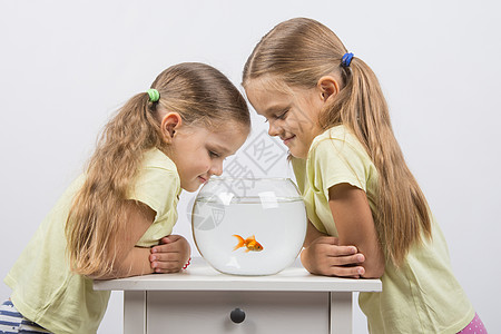 两个小妹妹送了一个金鱼水族馆图片