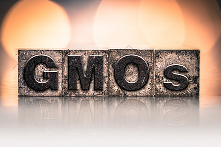 GMOs 概念型GMOs背景图片