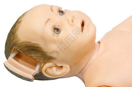 婴儿解剖学的开放部分 为学生提供的培训模式图片
