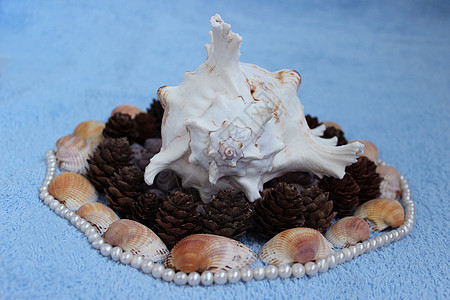 由天然材料制成的装饰石头旅行蓝色珠子天堂浮木珍珠玻璃海岸蜗牛图片