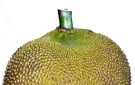 白色背景的绿色 JK 水果食品菠萝蜜种子植物美食食物异国叶子生活木头图片