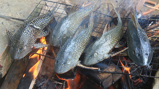 烧烤时钓鱼鱼片农村熏制假期烹饪旅行炙烤食物食谱木头图片