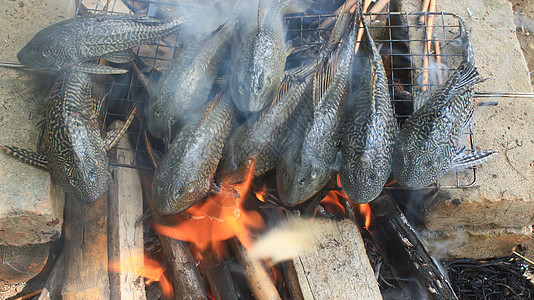 烧烤时钓鱼食谱旅行鲑鱼闲暇熏制假期炙烤烹饪鳟鱼木头图片