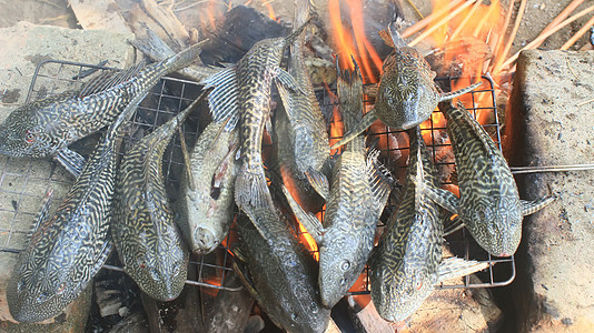 烧烤时钓鱼假期鳟鱼食谱旅行营火炙烤农村食物熏制森林图片
