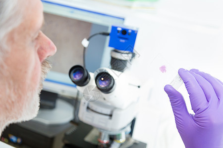 实验室的高级科学家微范围研究男人技术化学医院保健化学家测试专家生物学实验图片
