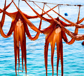 日晒中的章鱼干燥 欧洲葡萄糖桑托里尼和光晴天小吃团体细绳钓鱼食物烘干空气座位市场图片