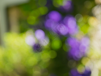 Bokeh 背景模糊模糊外汇通勤者清晰度车辆旅行运动耀斑运输奢华城市图片