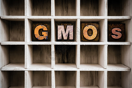 绘图中的 GMOs 概念性木制发质类型背景图片