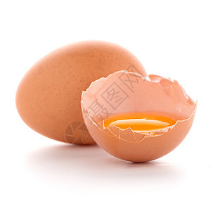 白上孤立的原生鸡蛋母鸡产品农场烹饪蛋壳食品动物蛋白早餐棕色图片