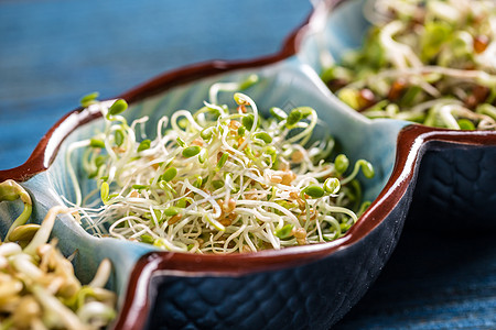 红三叶芽蔬菜沙拉蓝色三叶草木头绿色生长饮食食物叶子图片