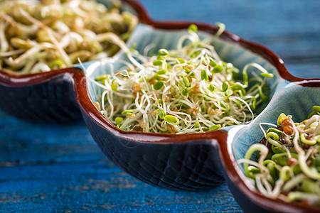 红三叶芽沙拉蔬菜三叶草叶子绿色木头生长饮食蓝色食物图片