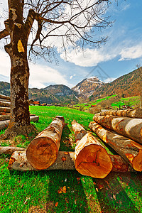木柴材料房子木工草地景观资源生态日志木头树干图片