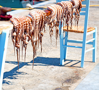 日晒中的章鱼干燥 欧洲葡萄糖桑托里尼和光旅行细绳晴天饮食用餐小吃座位动物美味海鲜图片