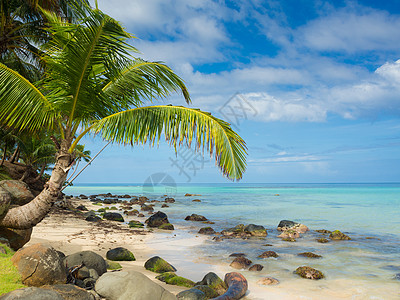 热带海滩清水岩石沙滩蓝天天气景观海洋假期明信片热带水图片
