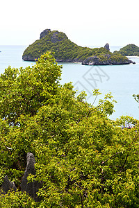 绿色环礁湖长滩海岸的海岸线图片