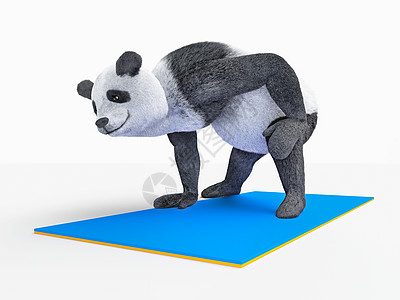 动物熊熊瑜伽 伸展不同的姿势和阿萨那式的锻炼熊猫哺乳动物床垫挣扎文化吉祥物动画片练习荒野松紧带图片