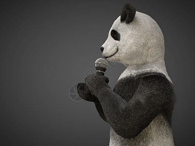 动物熊熊熊唱着歌的麦克风吉祥物动画片爪子插图文化荒野熊猫微笑歌手身份图片