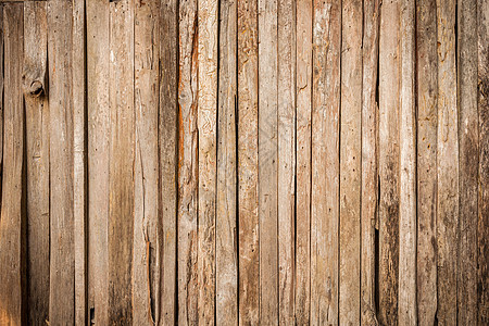 高分辨率棕色古树状天然木质粮食质料颗粒状硬木照片摄影空白正方形家具地面框架材料背景图片