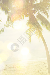 海滩上的棕榈树水平风景阳光假期沙滩热带日落数字气候复合背景图片