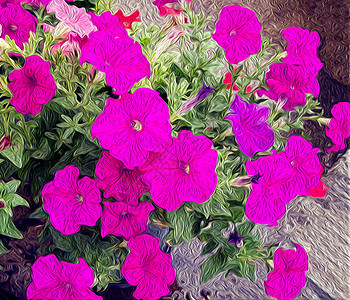 油画花野花粉色植物群草药花瓣艺术草地紫色水彩绿色图片