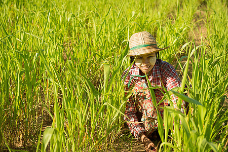 传统的亚洲青年传统女农民图片