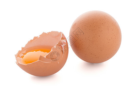白上孤立的原生鸡蛋早餐蛋壳农场蛋白产品家禽食品棕色烹饪动物图片