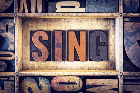 Sing 概念性 Sing 信印类型图片