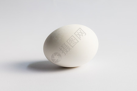 白背景上孤立的鸡蛋蛋白生产蛋壳奶制品动物食品饮食生长家禽团体图片