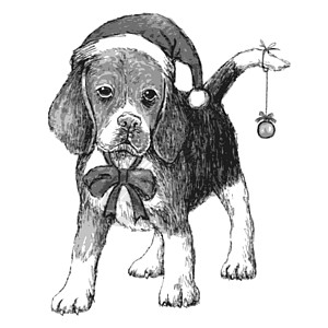 带圣诞帽子的鸟绘画小狗手绘犬类季节礼物新年猎犬假期节日图片