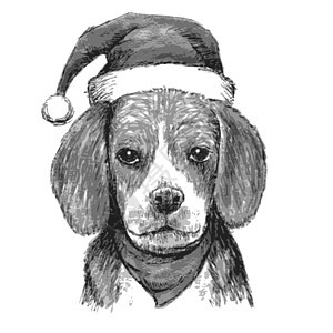 带圣诞帽子的鸟节日绘画小狗朋友享受问候语猎犬插图犬类礼物图片