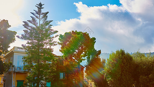 夏季日绿色公园在城市的景象草地木头池塘植物小路建筑学季节天空花园日落图片