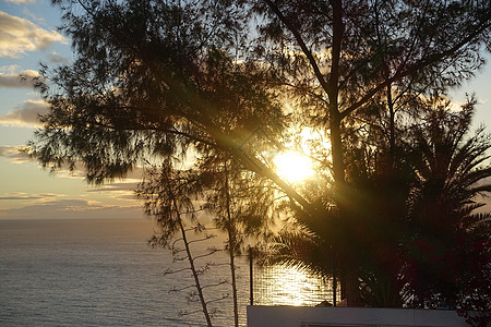 日落日力量海岸植物蛋白天气海洋花园旅行天空假期图片