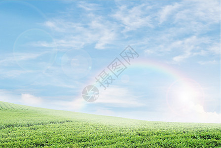 蓝天背景上的彩虹的字段上云景地平线天际自由太阳臭氧天堂空气场地季节图片